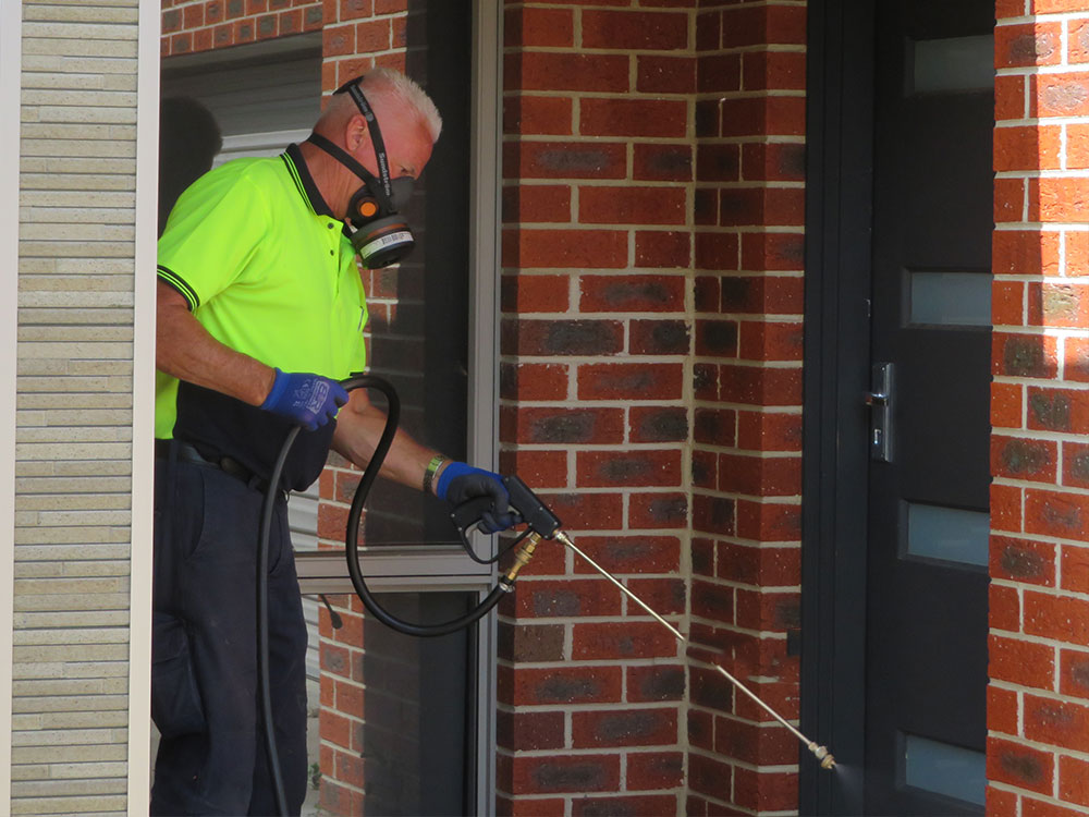 Spider Barrier Treatment