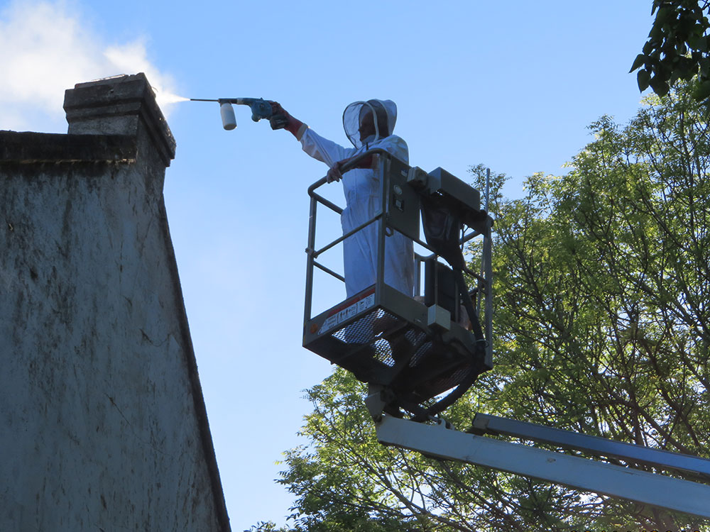 Dusting chimney for bees